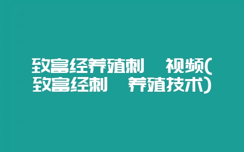 致富经养殖刺鳅视频(致富经刺鳅养殖技术)-会东网