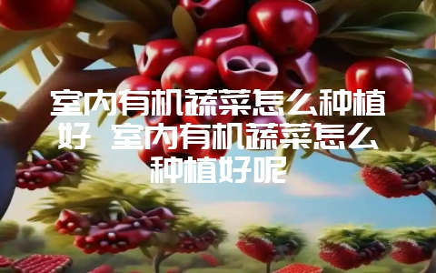 室内有机蔬菜怎么种植好 室内有机蔬菜怎么种植好呢-会东网