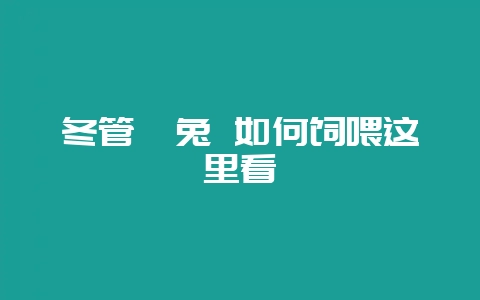 冬管獭兔 如何饲喂这里看-会东网