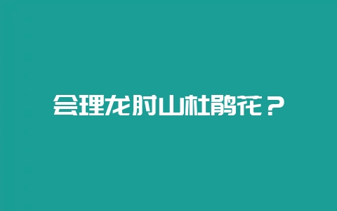 会理龙肘山杜鹃花?插图 会理龙肘山杜鹃花?插图