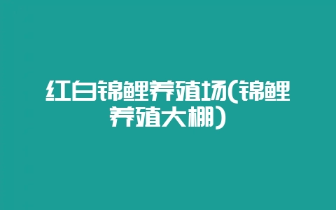 红白锦鲤养殖场(锦鲤养殖大棚)-会东网