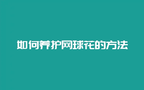 如何养护网球花的方法-会东网