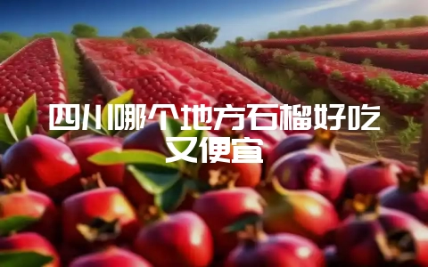 四川哪个地方石榴好吃又便宜插图 四川哪个地方石榴好吃又便宜插图