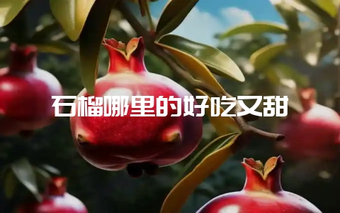 石榴哪里的好吃又甜-会东网