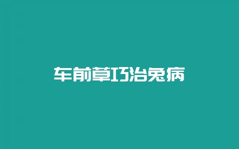 车前草巧治兔病-会东网