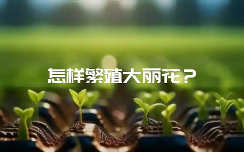 怎样繁殖大丽花？-会东网