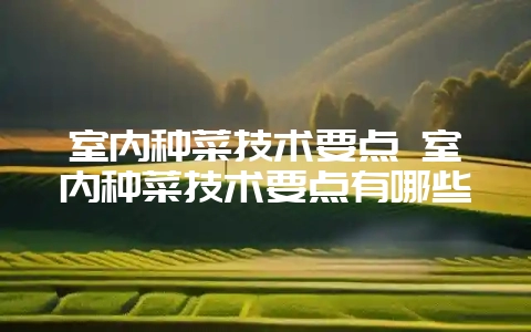 室内种菜技术要点 室内种菜技术要点有哪些-会东网