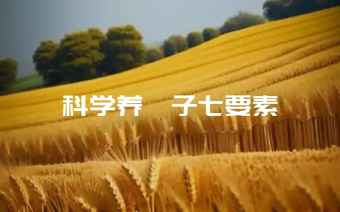 科学养貉子七要素-会东网