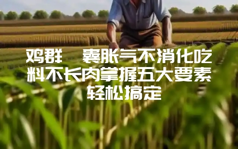 鸡群嗉囊胀气不消化吃料不长肉掌握五大要素 轻松搞定-会东网