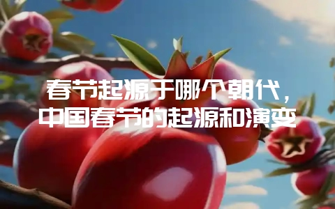春节起源于哪个朝代,中国春节的起源和演变-会东网
