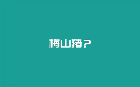 梅山猪?-会东网