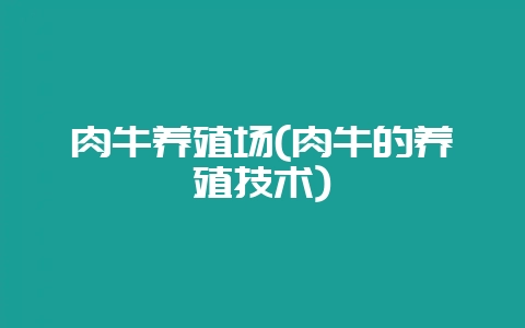 肉牛养殖场(肉牛的养殖技术)-会东网