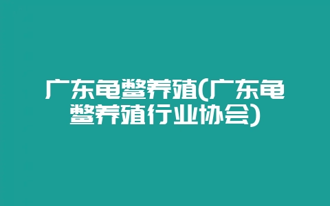 广东龟鳖养殖(广东龟鳖养殖行业协会)-会东网