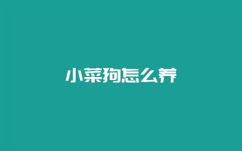 小菜狗怎么养-会东网
