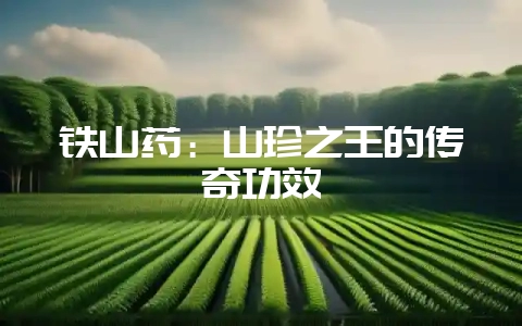 铁山药：山珍之王的传奇功效-会东网