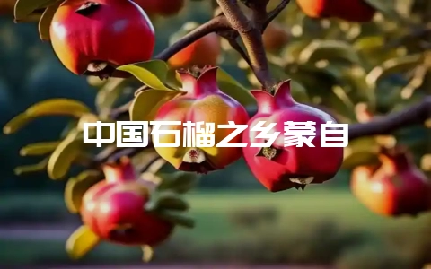 中国石榴之乡蒙自插图 中国石榴之乡蒙自插图