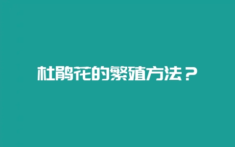 杜鹃花的繁殖方法？-会东网