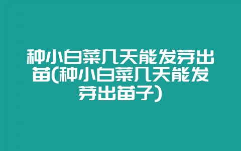 种小白菜几天能发芽出苗(种小白菜几天能发芽出苗子)-会东网
