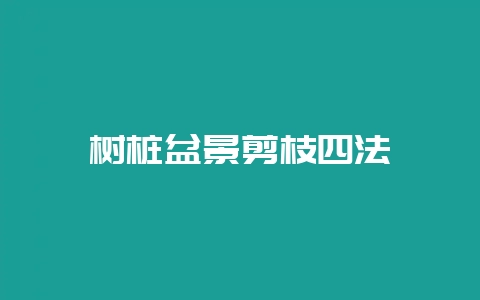 树桩盆景剪枝四法-会东网