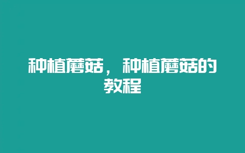 种植蘑菇，种植蘑菇的教程-会东网