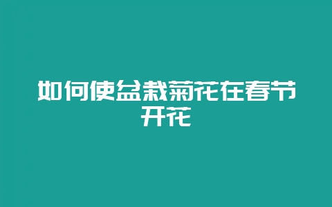 如何使盆栽菊花在春节开花-会东网