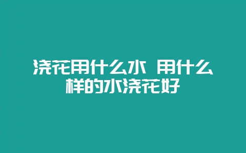 浇花用什么水 用什么样的水浇花好-会东网