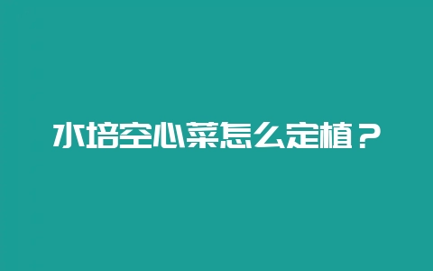 水培空心菜怎么定植?-会东网