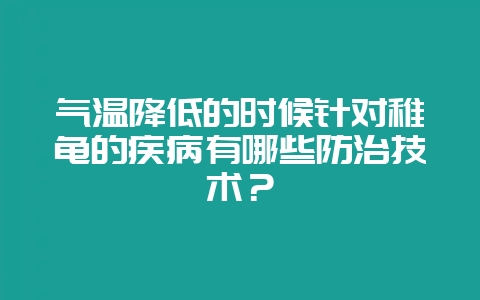 气温降低的时候针对稚龟的疾病有哪些防治技术?-会东网