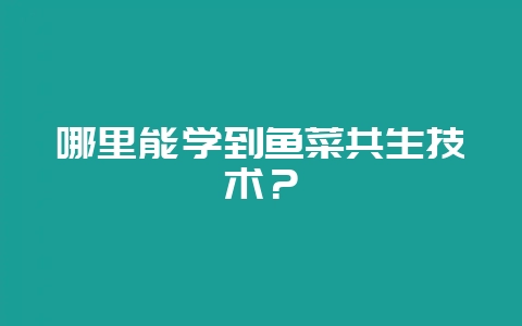 哪里能学到鱼菜共生技术?-会东网