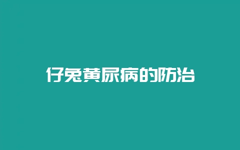 仔兔黄尿病的防治-会东网