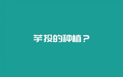 芋头的种植？-会东网