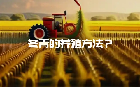 冬青的养殖方法？-会东网