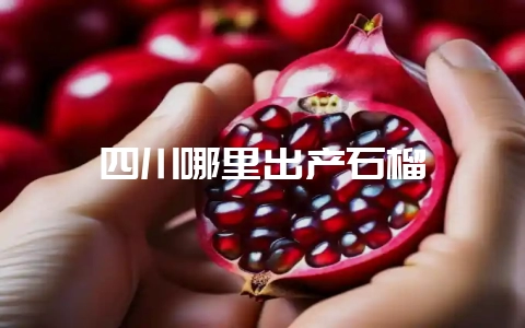 四川哪里出产石榴-会东网