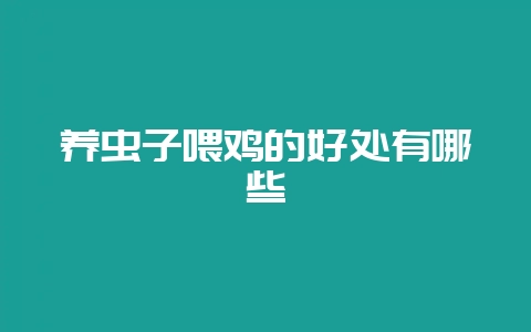 养虫子喂鸡的好处有哪些-会东网