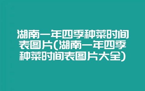 湖南一年四季种菜时间表图片(湖南一年四季种菜时间表图片大全)-会东网
