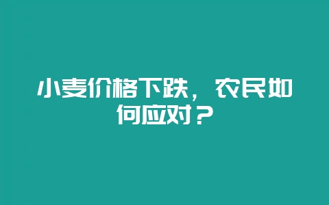 小麦价格下跌,农民如何应对?-会东网