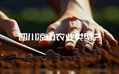 四川凉山农业类型？-会东网