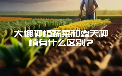 大棚种植蔬菜和露天种植有什么区别？-会东网