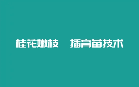 桂花嫩枝扦插育苗技术-会东网
