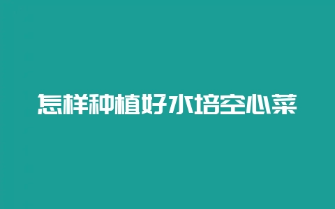 怎样种植好水培空心菜-会东网
