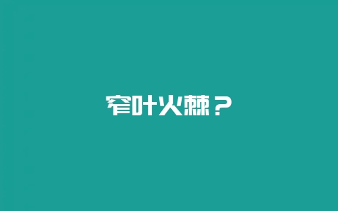 窄叶火棘？-会东网