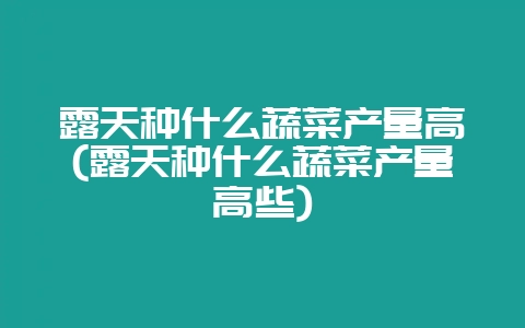 露天种什么蔬菜产量高(露天种什么蔬菜产量高些)-会东网
