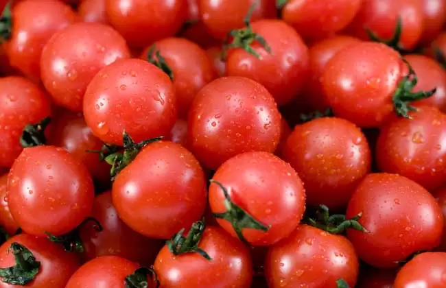 圣女果的营养价值及功效与作用-会东网