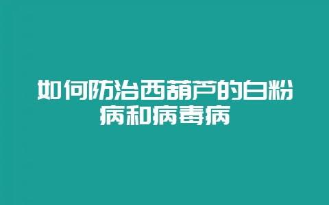 如何防治西葫芦的白粉病和病毒病-会东网
