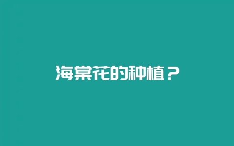 海棠花的种植？-会东网