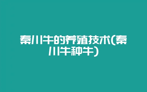 秦川牛的养殖技术(秦川牛种牛)-会东网