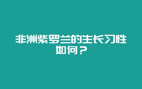 非洲紫罗兰的生长习性如何？-会东网