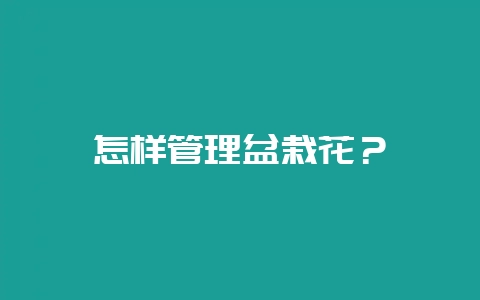 怎样管理盆栽花？-会东网