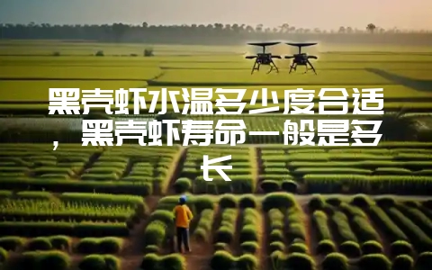 黑壳虾水温多少度合适，黑壳虾寿命一般是多长-会东网