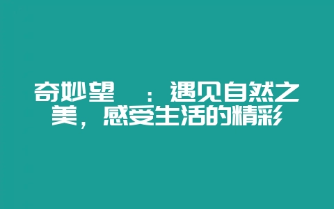 奇妙望奎:遇见自然之美,感受生活的精彩-会东网